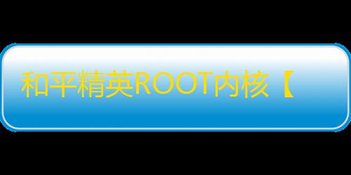 和平精英ROOT内核【VT6内核】外挂